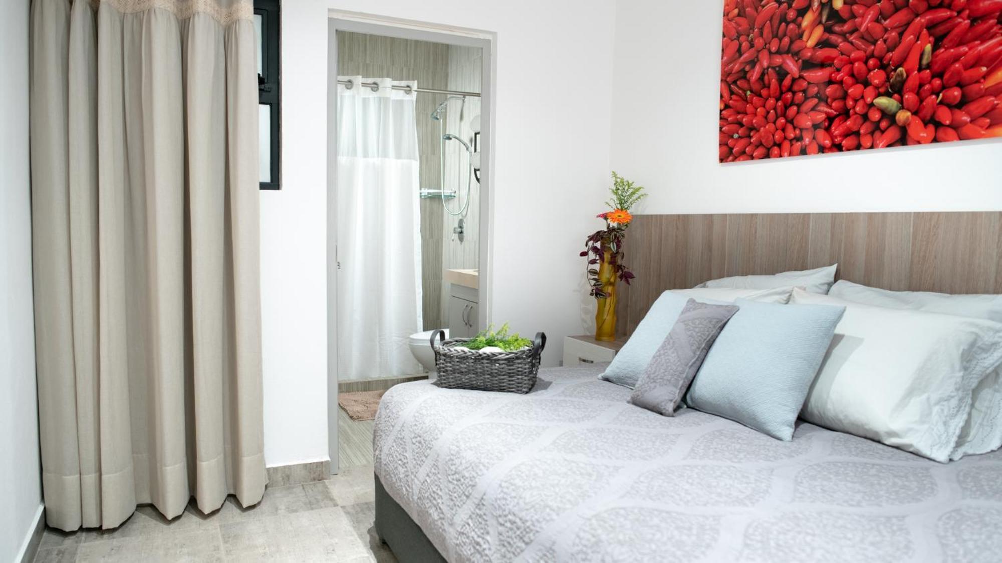 Casa Carmelia La Condesa Daire Meksika Dış mekan fotoğraf
