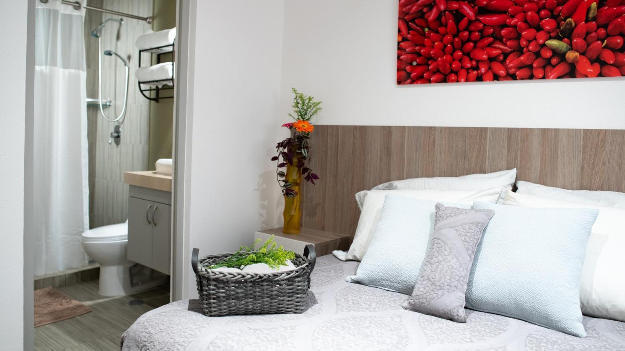 Casa Carmelia La Condesa Daire Meksika Dış mekan fotoğraf