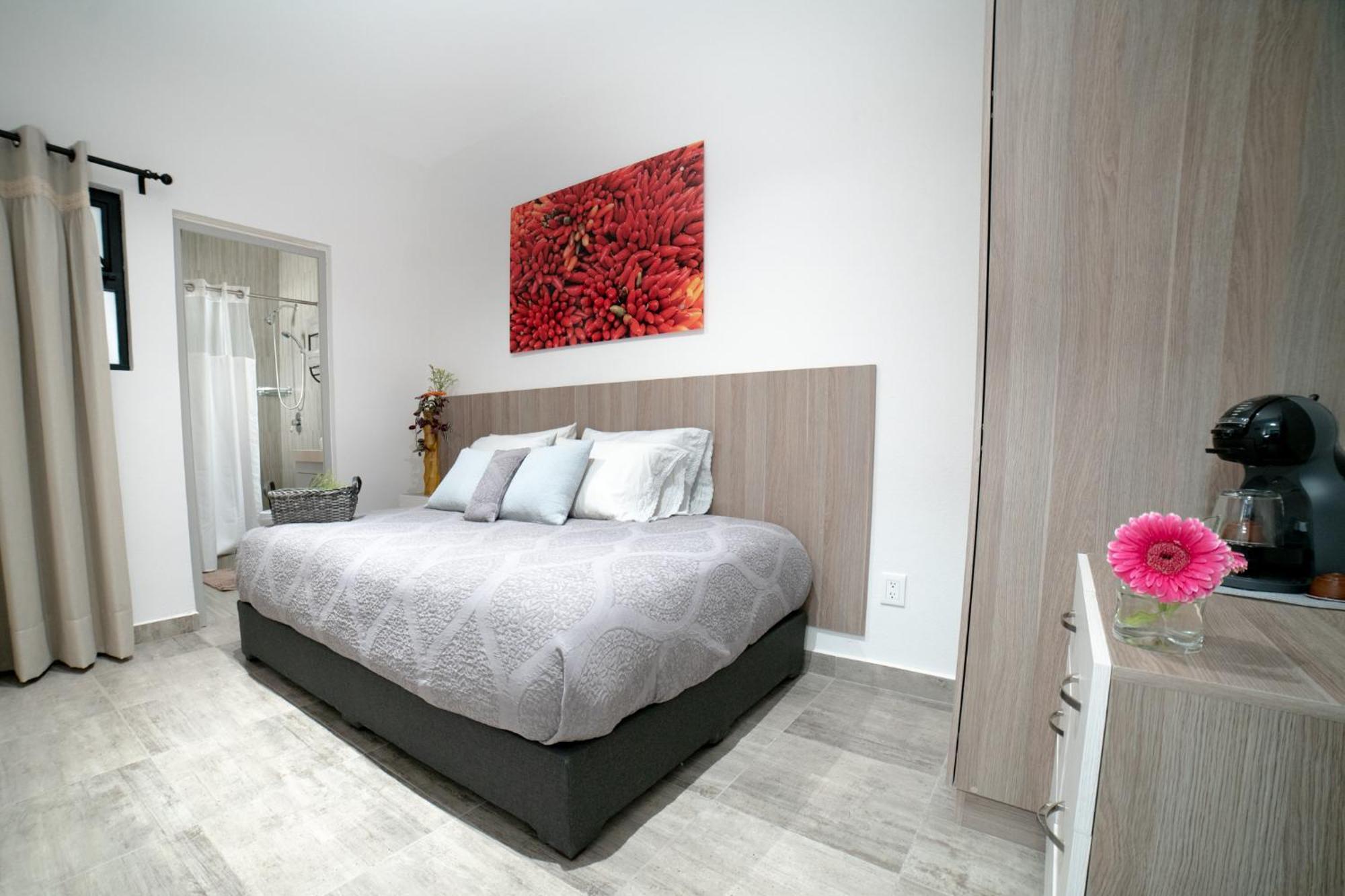 Casa Carmelia La Condesa Daire Meksika Dış mekan fotoğraf
